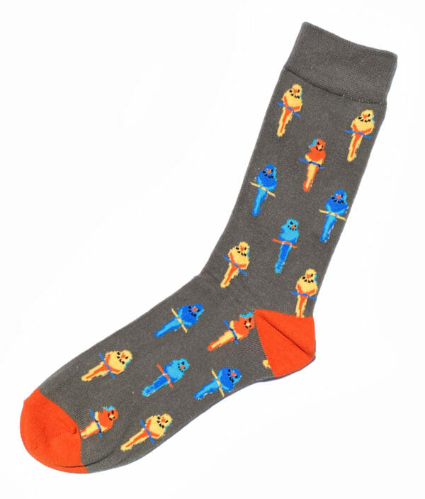 Fantasiesocken-die-papageien