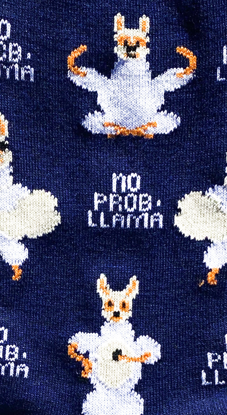 Chaussettes colorées en coton avec motif de lama